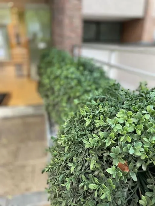 Apartment Gemutlich Und Moderne Wohnung In Dusseldorf